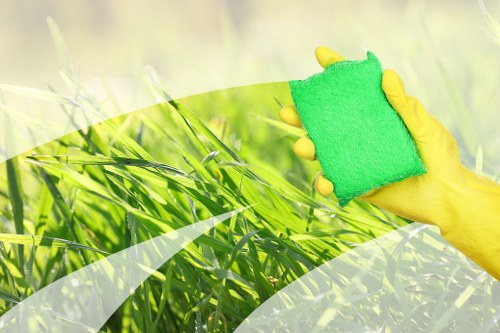 Expert carpet cleaning in Shepherdsbush improving carpet appearance and freshness