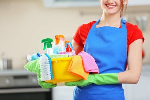 Professional oven cleaning service terms and conditions introduction