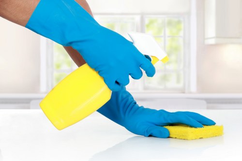 Oven cleaning safety checklist and controlled working environment