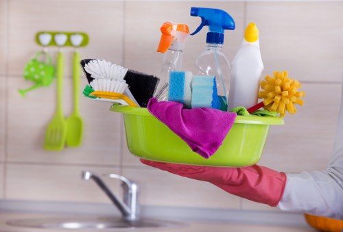 Shepherdsbush cleaner sanitising a bathroom with care