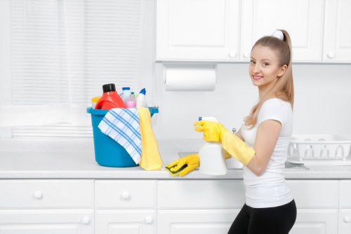 Oven cleaning service using sustainable methods and recycling sortation