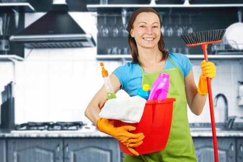 Kitchen and bathroom domestic cleaning in Shepherdsbush