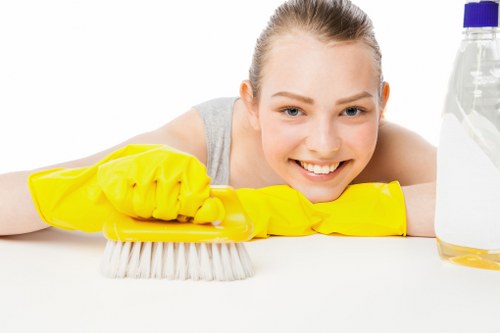 Local Shepherdsbush carpet cleaning service removing tough stains from carpet fibres