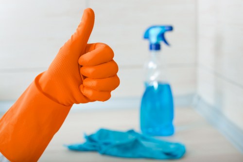 Trusted oven cleaners in Shepherdsbush providing professional deep cleaning results