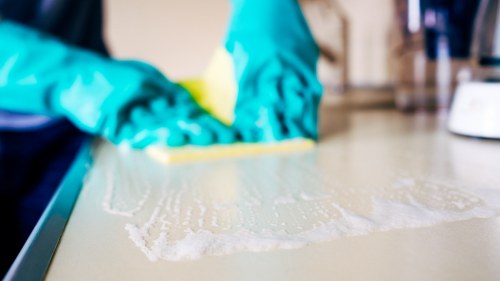 Deep rug stain removal and fibre care in a Shepherdsbush property