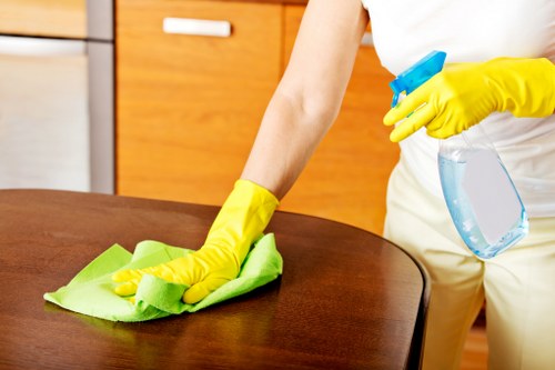 Reviewing an oven cleaning service issue