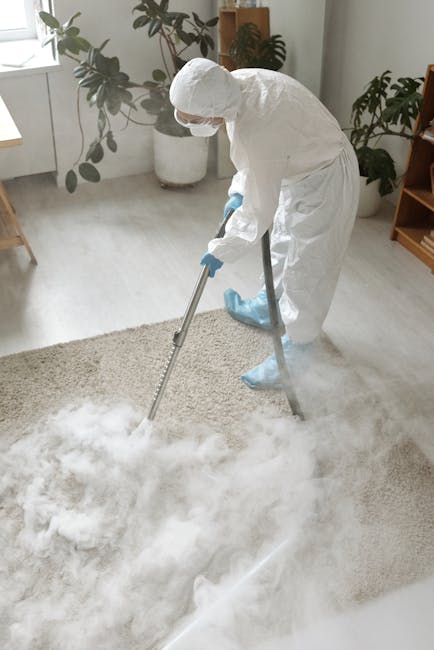 A person holding a yellow portable extractor cleaner over a patterned residential carpet, suggesting a deep cleaning or surface sanitisation process; the scene is set in a well-lit room with natural l